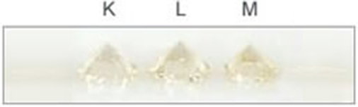 Gia scale hot sale